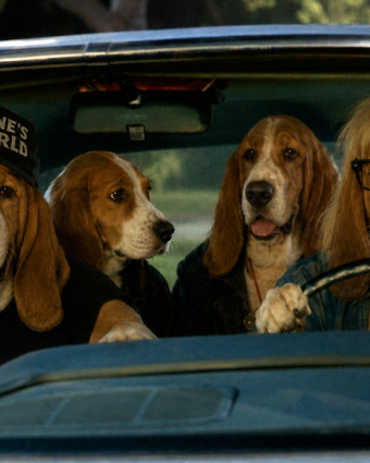 Waynes World