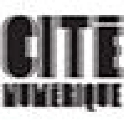 Cité Numérique