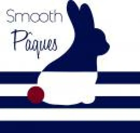 Smooth Sailor Charte graphique - Ecole web