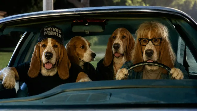 Waynes World